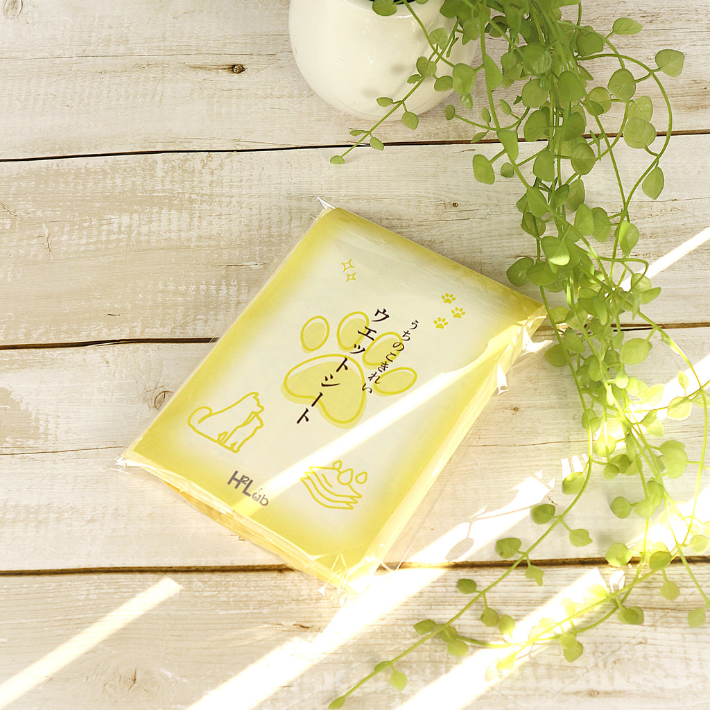 うちのこきれい ウエットシート 10枚セット