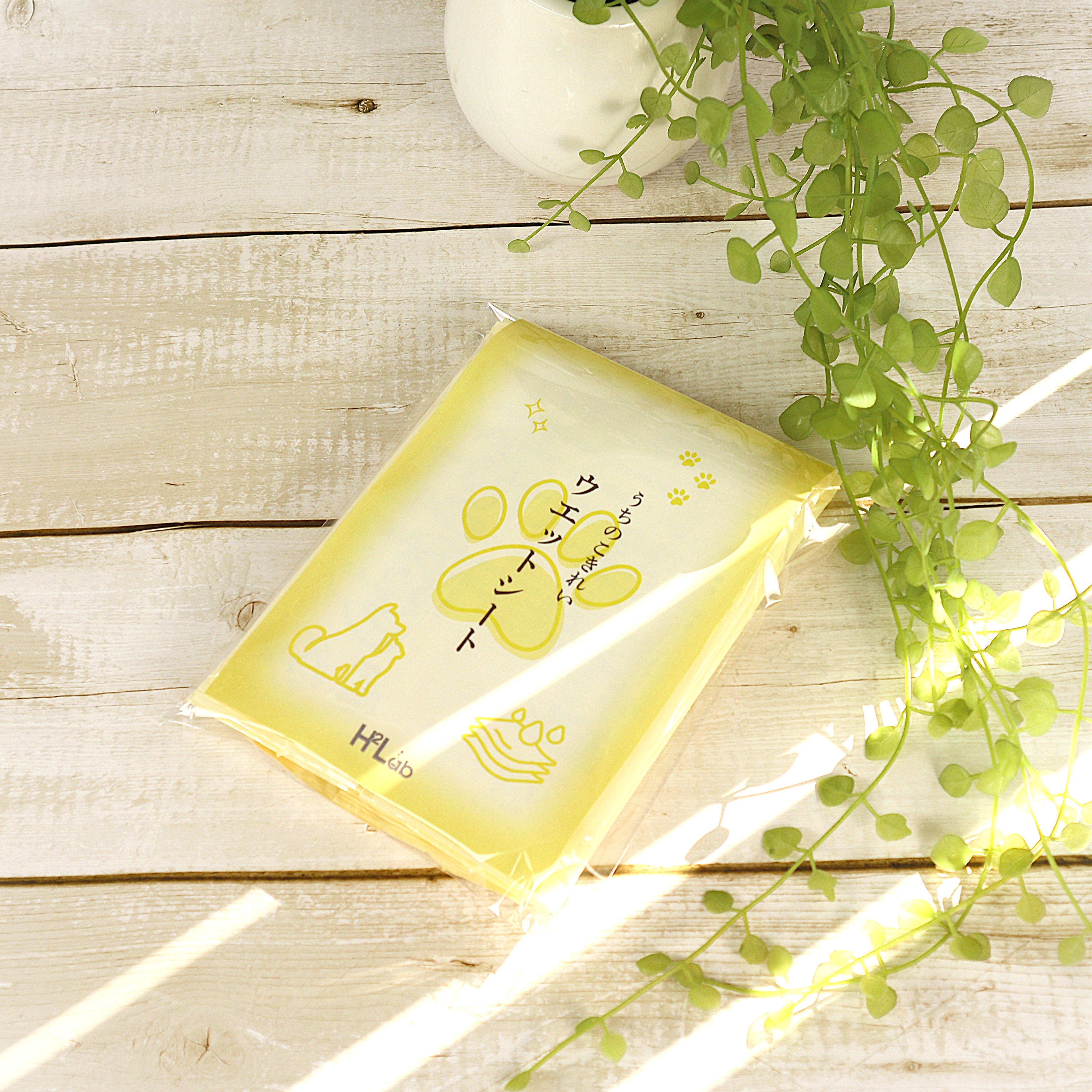 うちのこきれい ウエットシート 10枚セット